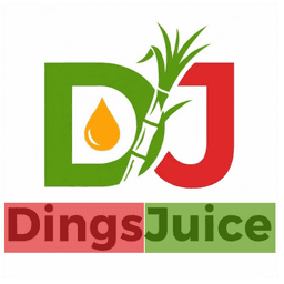 DingsJuice Official Logo